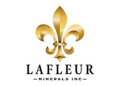 LaFleur Minerals Inc.Taking Key Steps to Advance Position in Prolific Gold Belt